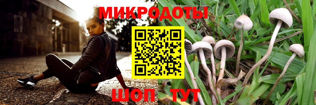Галлюциногенные грибы Psilocybe  Вход с VPN  Белгород 